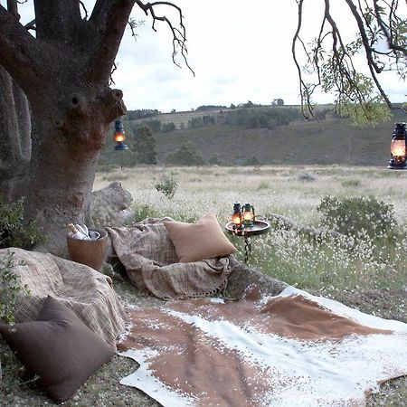 Gondwana Game Reserve Herbertsdale Exterior photo