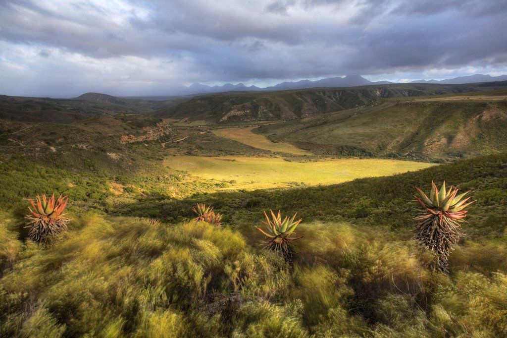 Gondwana Game Reserve Herbertsdale Exterior photo