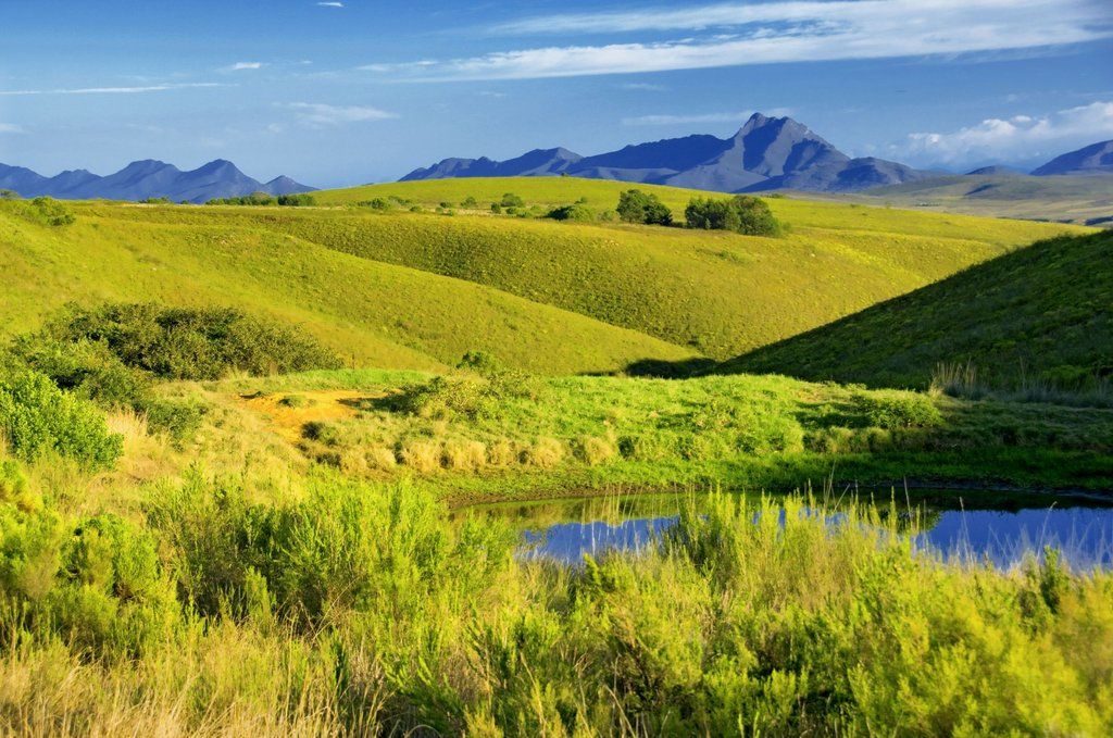 Gondwana Game Reserve Herbertsdale Exterior photo
