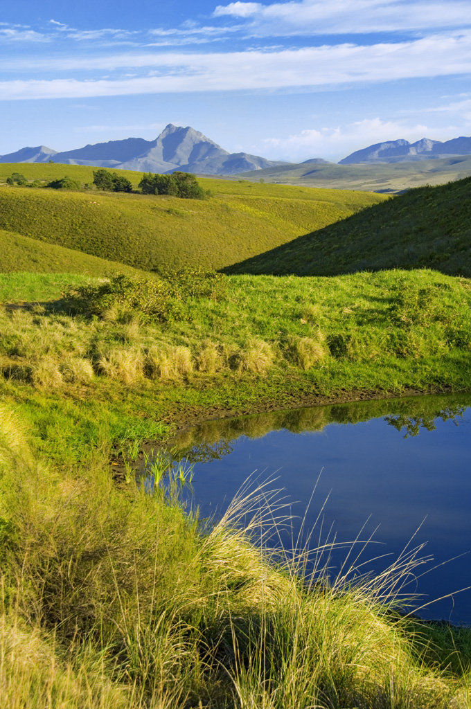 Gondwana Game Reserve Herbertsdale Exterior photo
