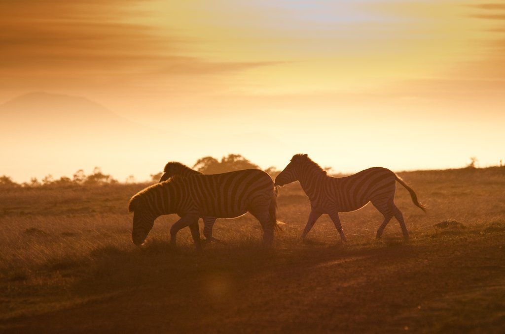 Gondwana Game Reserve Herbertsdale Exterior photo