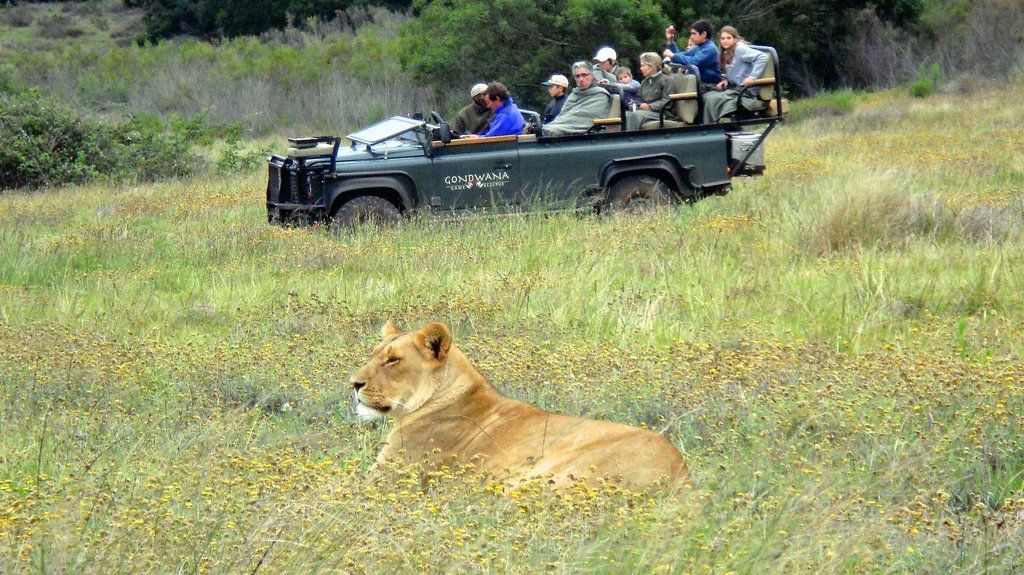 Gondwana Game Reserve Herbertsdale Exterior photo