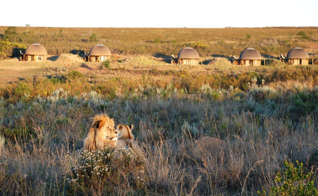 Gondwana Game Reserve Herbertsdale Exterior photo